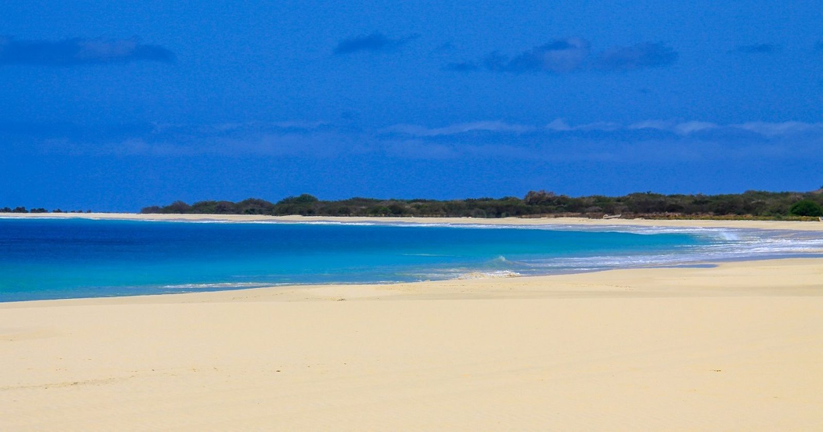 A palm-shaded beach restaurant beside the wide sands of Santa Monica beach, Boa Vista, Cape Verde