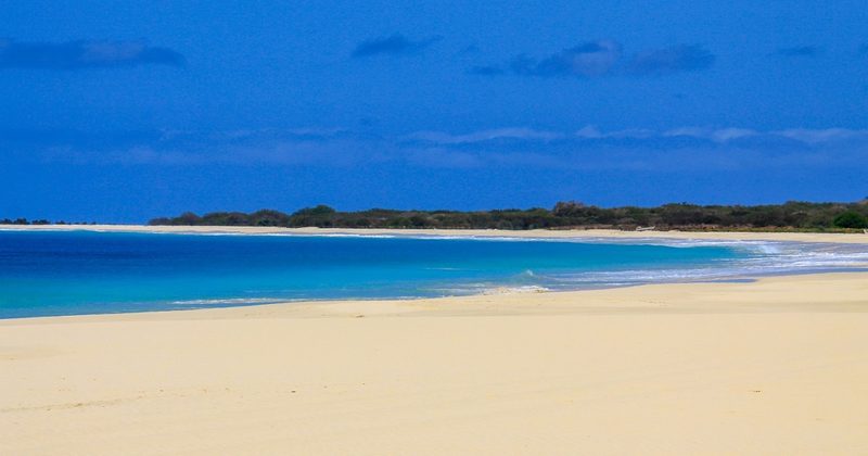Strandrestaurant unter Palmen am breiten Sandstrand Santa Mónica auf Boa Vista, Kapverden