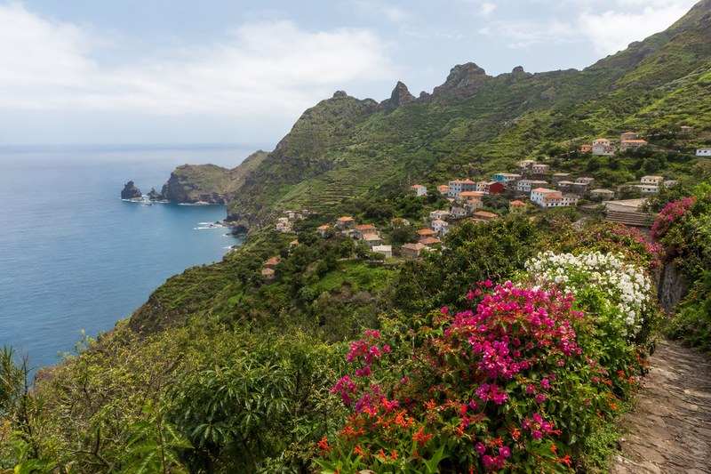 Green coastal slopes, flowers and village houses on Brava island, Cape Verde