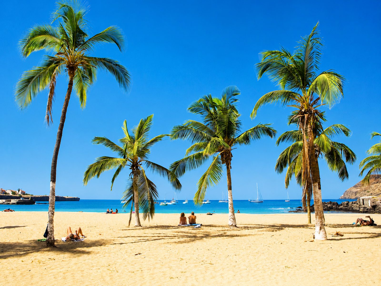 A beachfront restaurant shaded by palm trees beside the sand on a bright day, Cape Verde
