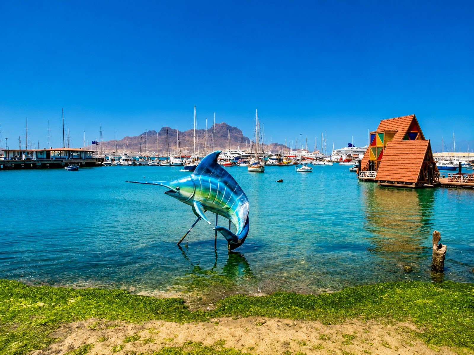 Coconut palms on a golden beach with sailing boats moored in a calm turquoise bay, Cape Verde