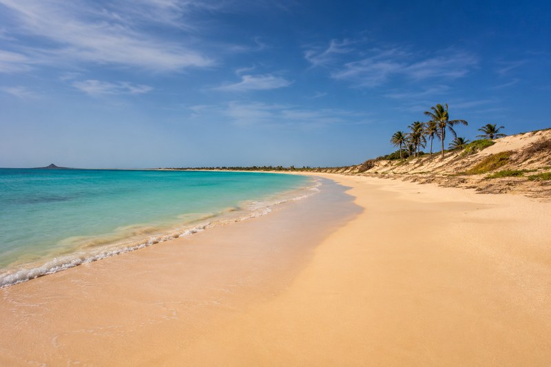 Peaceful sandy beach with turquoise water and palms on Maio island, Cape Verde