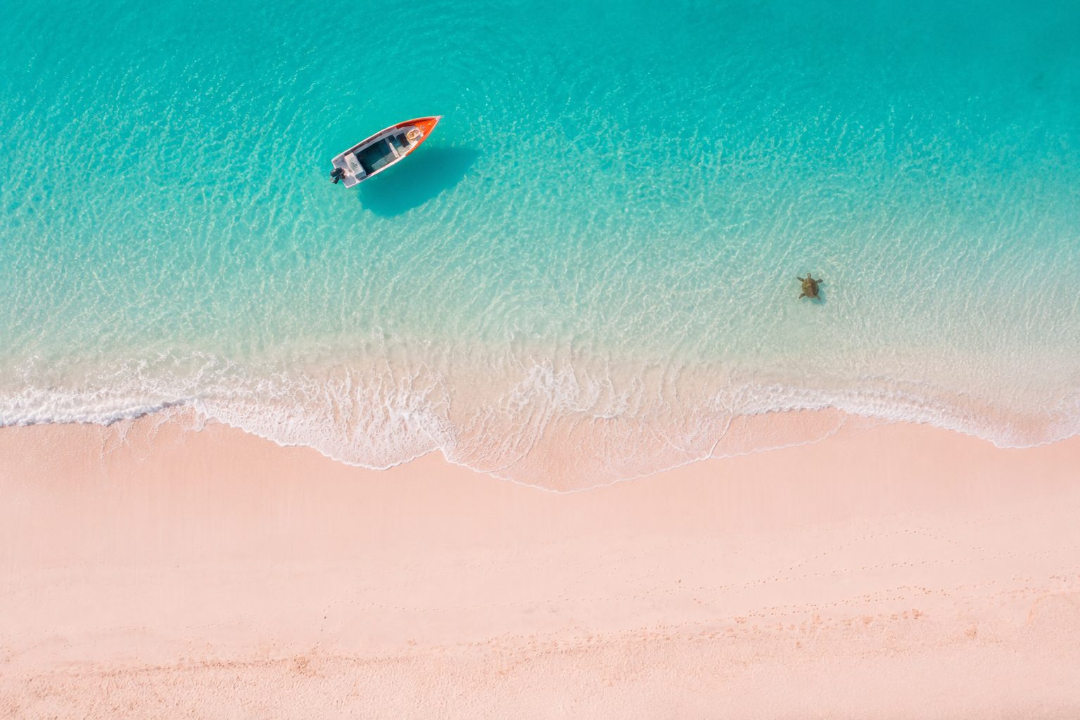 Aerial view of a sea turtle and a small boat in the clear turquoise water off a Sal beach