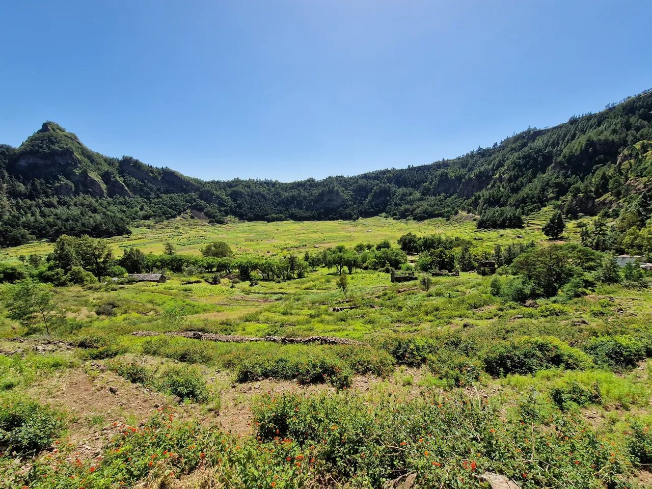 Green fields on the floor of the Cova crater, surrounded by forested crater walls, Santo Antão