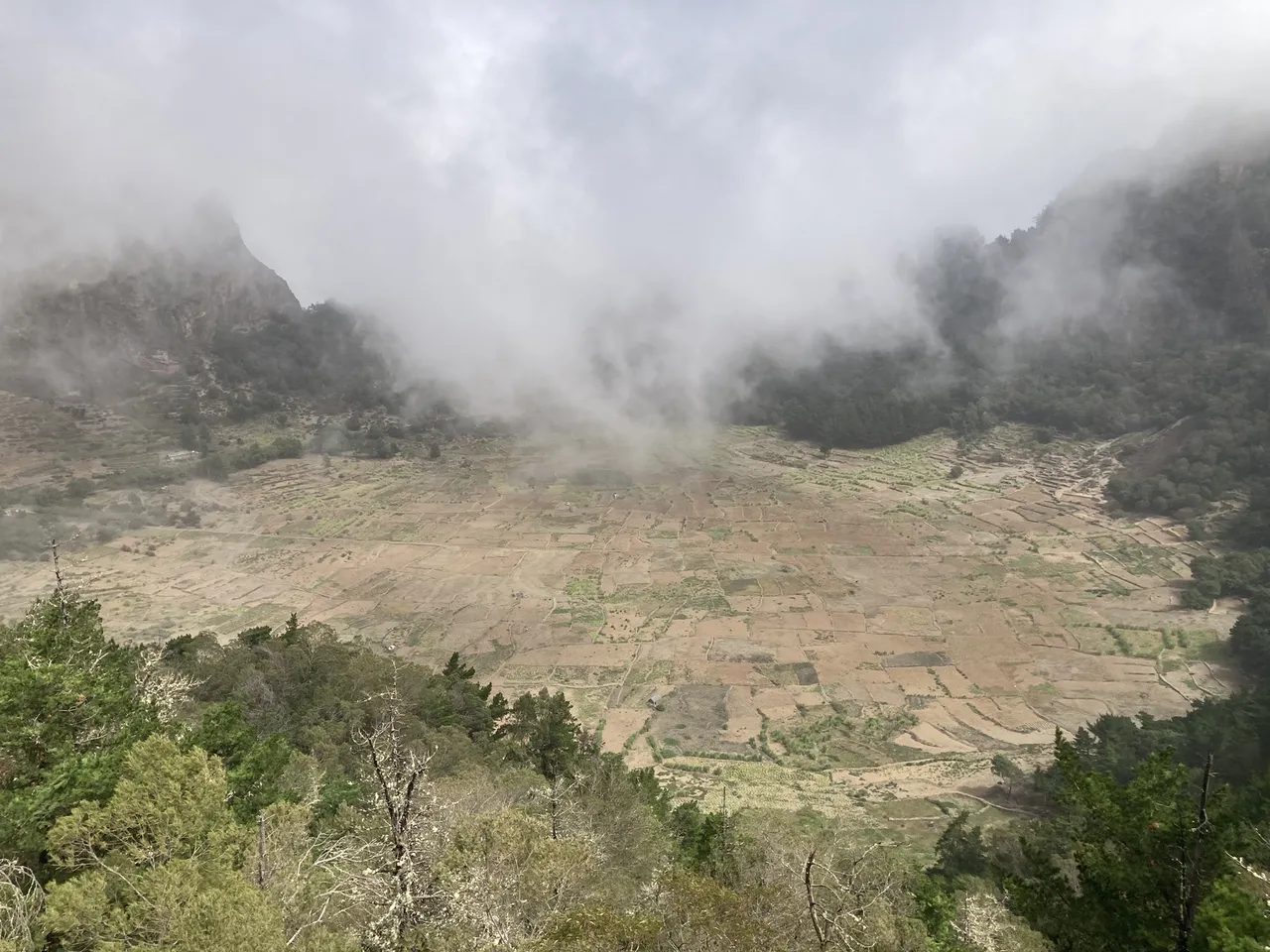 Patchwork of small walled fields on the Cova crater floor, partly hidden by cloud drifting over the rim, Santo Antão