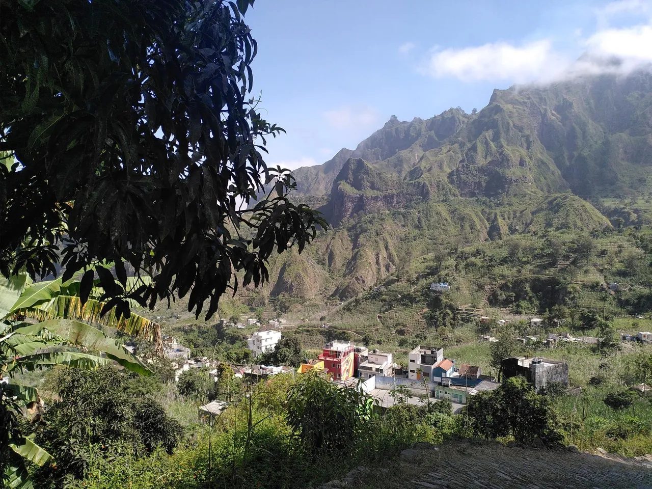 Colourful houses in the green Paul Valley below jagged mountains, framed by a mango tree, Santo Antão